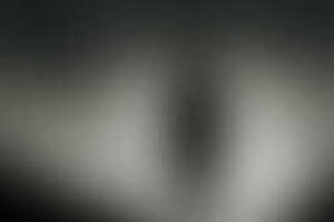 Фотография экшн-игры Ходячие мертвецы от компании Black Hole (Фото 1)