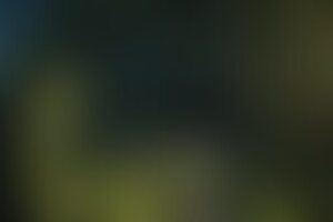 Фотография экшн-игры Параллельный мир от компании Русь (Фото 1)
