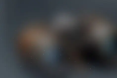 Квест-анимация «Секретная служба» от Boom