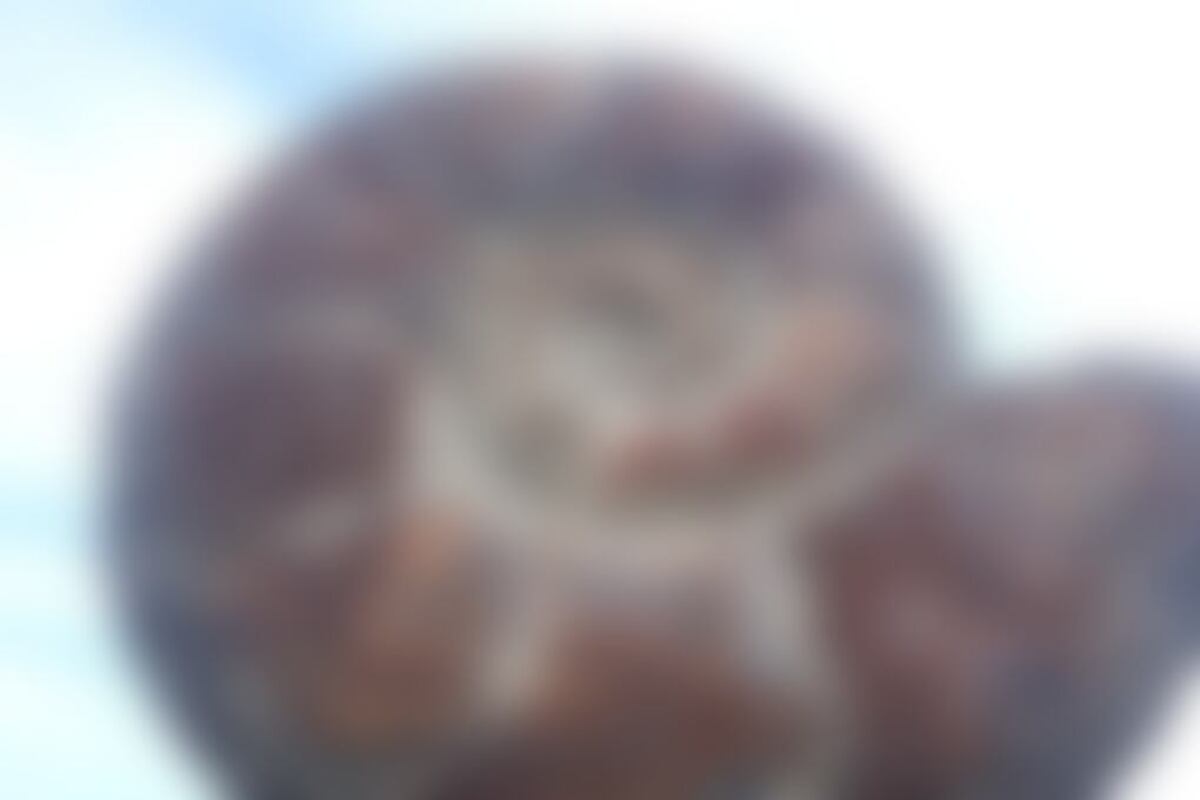 Фотография городского квеста Загадочная история "города семи ветров" от компании Ubego (Фото 3)