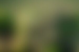 Фотография квеста-анимации Губка Боб от компании Top Quest Go (Фото 1)