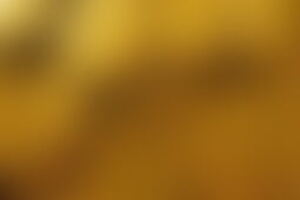 Фотография квеста-анимации Сокровищница форта от компании Русь (Фото 1)