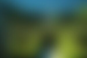 Фотография квеста-анимации Игра в кальмара от компании Top Quest Go (Фото 1)