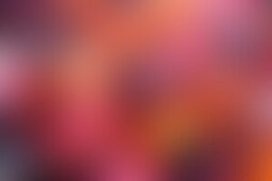 Фотография квеста-анимации Роблокс от компании Speloe (Фото 1)