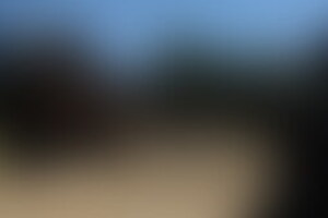 Фотография квеста-анимации Дикий Запад от компании Speloe (Фото 1)