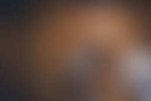 Фотография квеста Сокровище да Винчи от компании Lost (Фото 3)