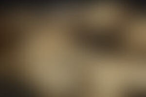 Фотография перформанса Дневник убийцы от компании Паника (Фото 1)